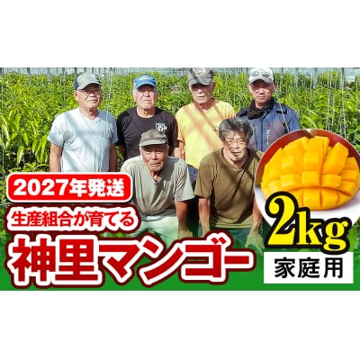 【2027年発送】生産組合が育てる神里のマンゴー2kg 家庭用