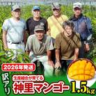 【訳あり】2026年発送　生産組合から直送　神里マンゴー1.5kg