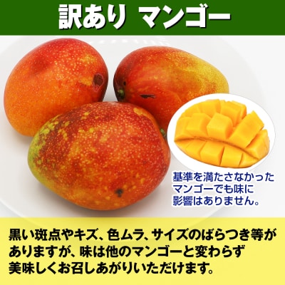 【訳あり】2026年発送　生産組合から直送　神里マンゴー1.5kg