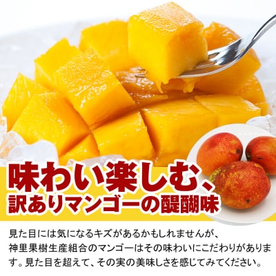 【訳あり】2026年発送　生産組合から直送　神里マンゴー1.5kg