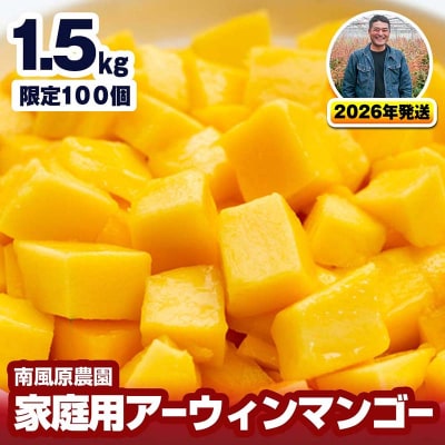 �y2026�N�����z�앗���_���@�ƒ�p�A�[�E�B���}���S�[1.5kg