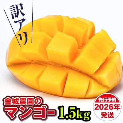 �y�󂠂�z2026�N�����@����_���̃}���S�[1.5kg