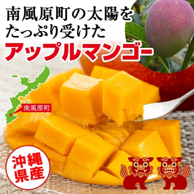 【2025年発送】生産組合が育てる南風原の味　神里マンゴー1kg