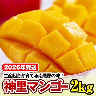 �y2026�N�����z���Y�g������Ă�앗���̖��@�_���}���S�[2kg