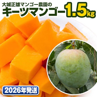 �y2026�N�����z��鐳�Y�}���S�[�_���̃L�[�c�}���S�[1.5kg