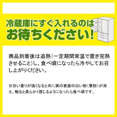 【2026年発送】大城正雄マンゴー農園のキーツマンゴー1.5kg
