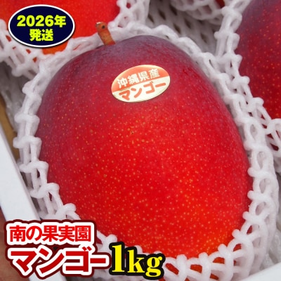 【2026年発送】南の果実園　マンゴー1kg