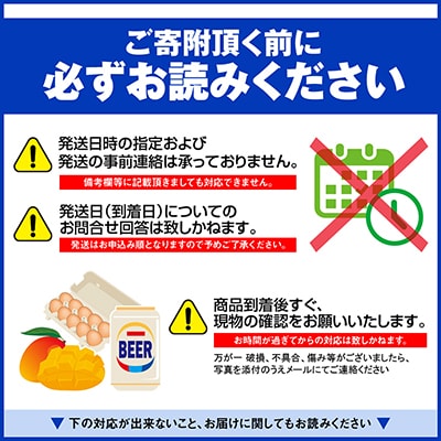 【2026年発送】南の果実園　マンゴー1kg