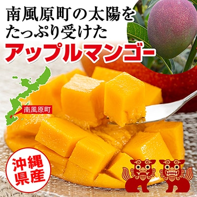 【2026年発送】南の果実園　マンゴー1kg