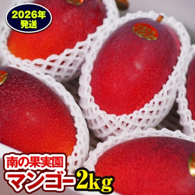 【2026年発送】南の果実園　マンゴー2kg