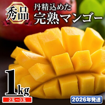 【2026年発送】「秀品」丹精込めた完熟マンゴー1kg　2玉～3玉