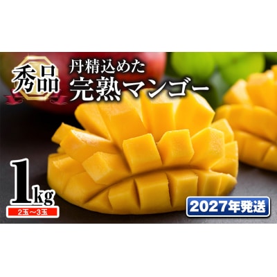 【2027年発送】「秀品」丹精込めた完熟マンゴー1kg 2玉～3玉