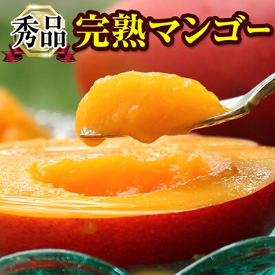 【2026年発送】「秀品」丹精込めた完熟マンゴー1kg　2玉～3玉