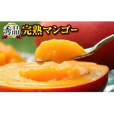 【2027年発送】「秀品」丹精込めた完熟マンゴー1kg 2玉～3玉