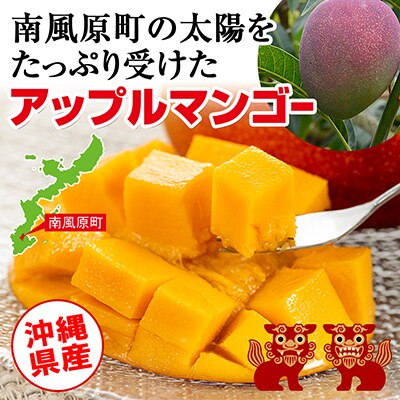 【2026年発送】「秀品」丹精込めた完熟マンゴー1kg　2玉～3玉