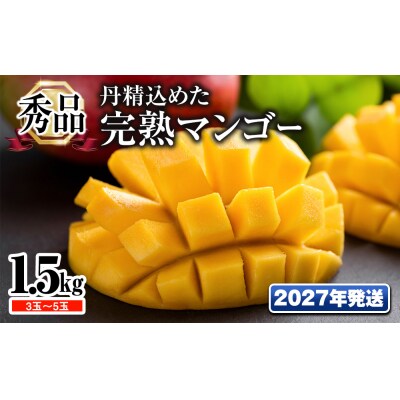 【2027年発送】「秀品」丹精込めた完熟マンゴー1.5kg 3玉～5玉
