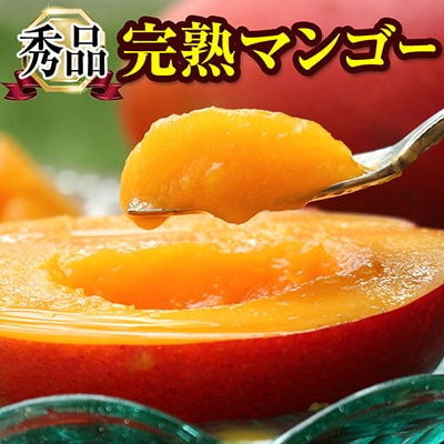 【2026年発送】「秀品」丹精込めた完熟マンゴー1.5kg　3玉～5玉