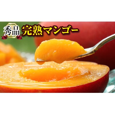 【2027年発送】「秀品」丹精込めた完熟マンゴー1.5kg 3玉～5玉