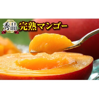 【2027年発送】「秀品」丹精込めた完熟マンゴー2kg 4玉～6玉