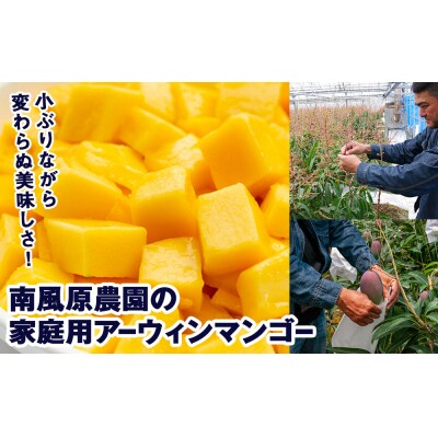 【2027年発送】南風原農園 家庭用アーウィンマンゴー2kg