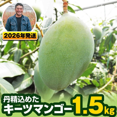 【2026年発送】南風原農園　丹精込めた「キーツマンゴー」1.5kg