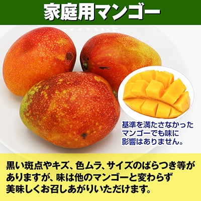 【2026年発送】比嘉マンゴーファームのアーウィンマンゴー　家庭用1.5kg