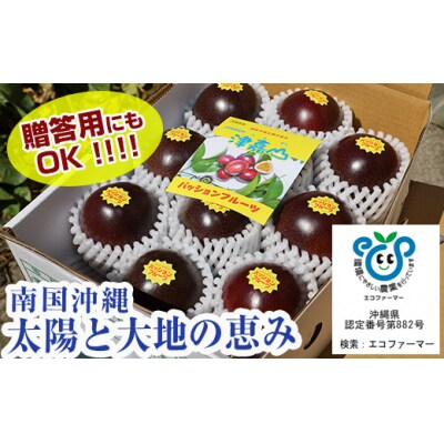 【2025年発送】南国の果物　パッションフルーツ　2kg　贈答用
