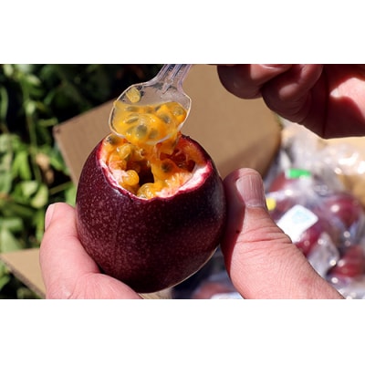 【2025年発送】南国の果物　パッションフルーツ　2kg　贈答用