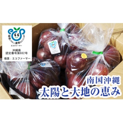 【2026年発送】パッションフルーツ3kg　家庭用
