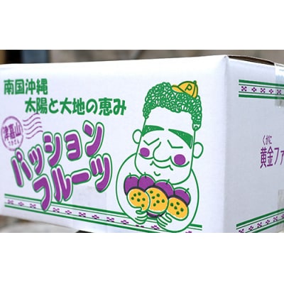 【2026年発送】パッションフルーツ3kg　家庭用
