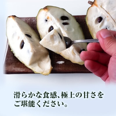 【2025年12月中旬から順次発送】アテモヤ 1kg “森のアイスクリーム”