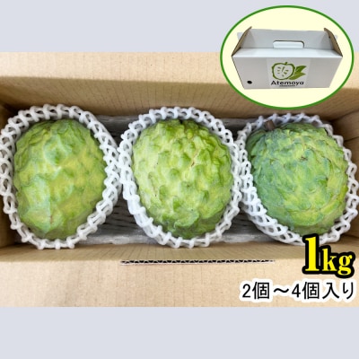 【2025年12月中旬から順次発送】アテモヤ 1kg “森のアイスクリーム”