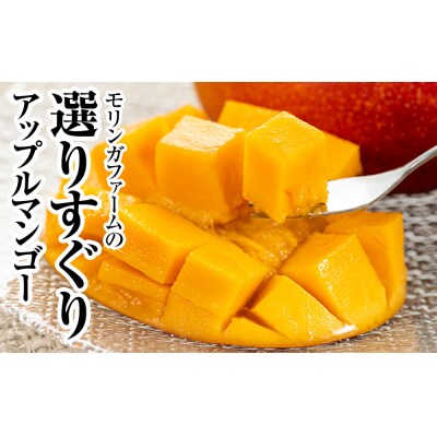 【2027年発送】直売所で厳選 沖縄県産「完熟マンゴー」1kg