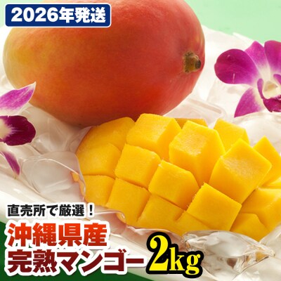 【2026年発送】直売所で厳選　沖縄県産「完熟マンゴー」2kg