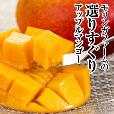 【2026年発送】直売所で厳選　沖縄県産「完熟マンゴー」2kg