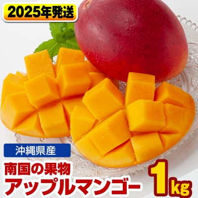 【2025年発送】南国の果物　沖縄県産アップルマンゴー　1kg