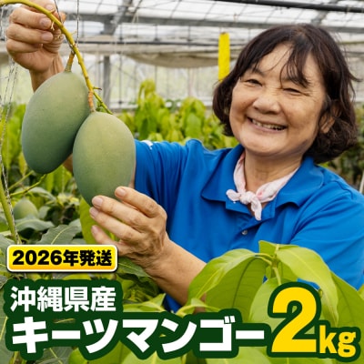【2026年発送】沖縄県産キーツマンゴー2kg