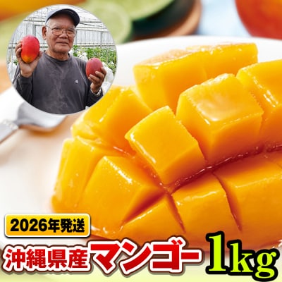 【2026年発送】濃厚な甘さ!とろける食感!沖縄県産マンゴー1kg