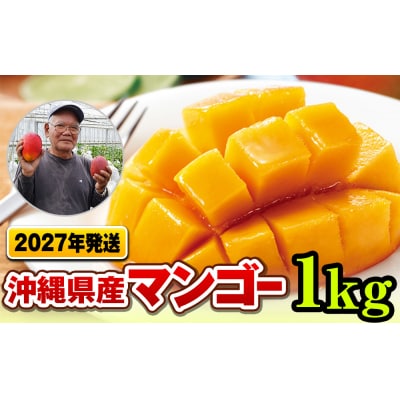 【2027年発送】濃厚な甘さ!とろける食感!沖縄県産マンゴー1kg