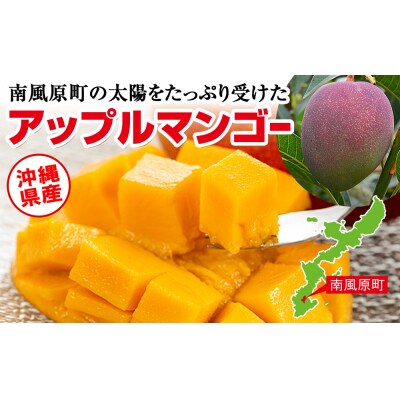 【2027年発送】濃厚な甘さ!とろける食感!沖縄県産マンゴー2kg