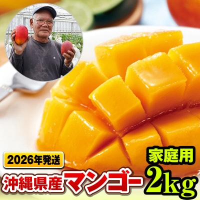 【2026年発送】濃厚な甘さの沖縄県産マンゴー2kg(家庭用)