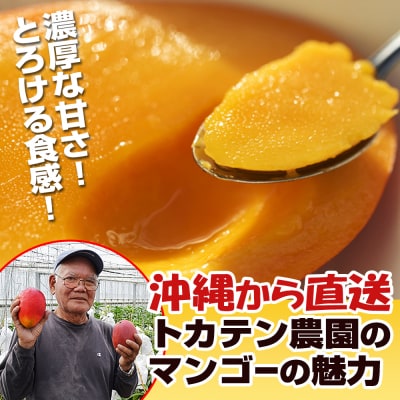 【2026年発送】濃厚な甘さの沖縄県産マンゴー2kg(家庭用)