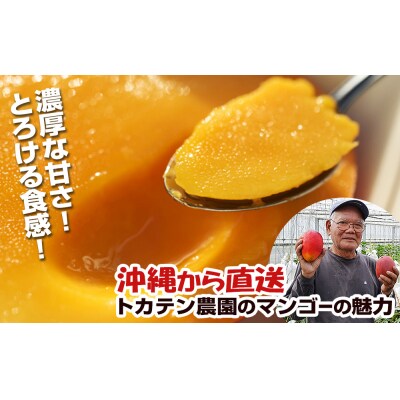 【2027年発送】濃厚な甘さの沖縄県産マンゴー2kg(家庭用)