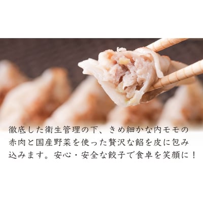 沖縄県産　金アグー　肉餃子　大容量　96個入り　12個×8パック
