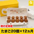 【定期便】12ヵ月連続お届け　美ら卵養鶏場の卵　各月20個