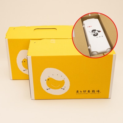 【定期便】6ヵ月連続お届け　美ら卵養鶏場の卵　各月40個