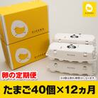 【定期便】12ヵ月連続お届け　美ら卵養鶏場の卵　各月40個