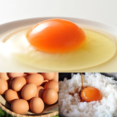 【定期便】6ヵ月連続お届け　美ら卵養鶏場の卵　各月60個