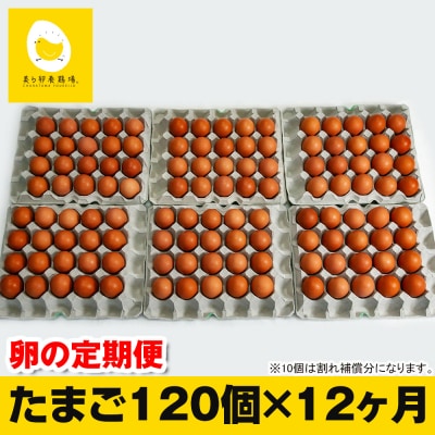 【定期便】12ヵ月連続お届け　美ら卵養鶏場の卵　各月120個