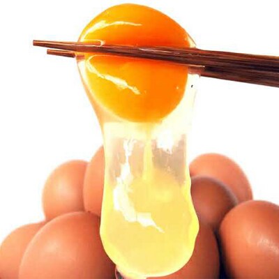 【定期便】12ヵ月連続お届け　美ら卵養鶏場の卵　各月120個